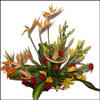 Colorful Blow - Click here to View more details about this Product